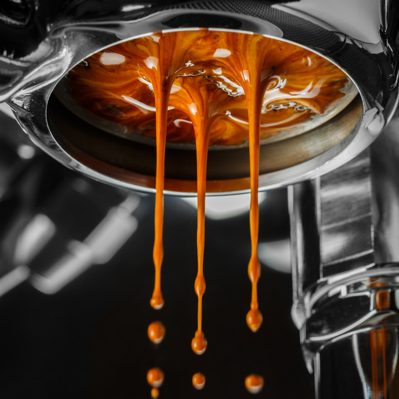 Barista Kurs bei maxbean – Werde zum Barista an deiner eigenen Maschine